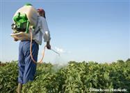 Spraying Neonicotinoid Pesticides on Crops