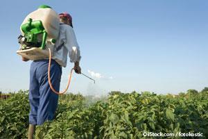 Spraying Neonicotinoid Pesticides on Crops