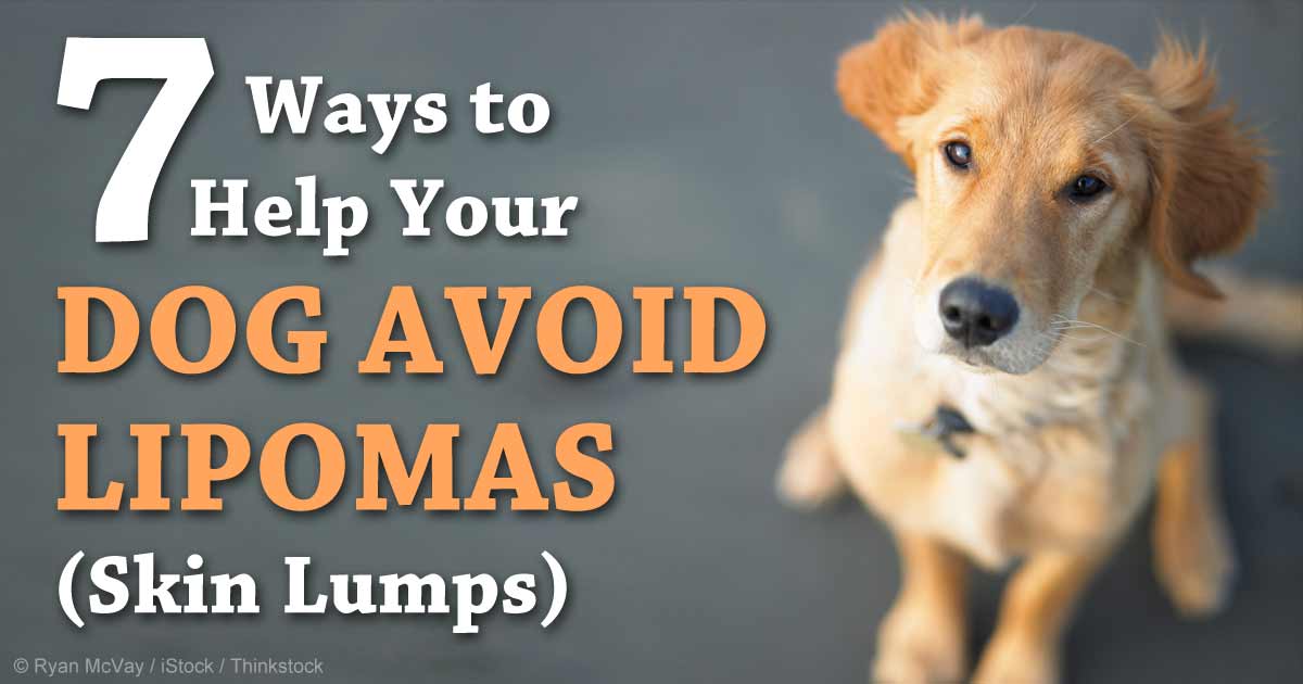 What causes tumors in a dog?