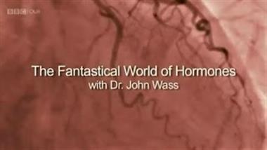 Fantastical World of Hormones