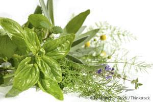 Health Benefits of Medicinal Plants