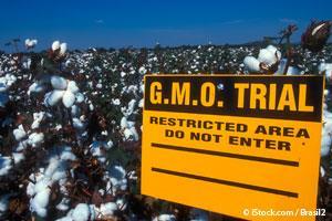 Fight Against GMO