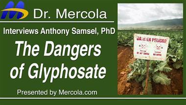 Researcher Reveals Monsanto Has Known Since 1981 That Glyphosate Promotes Cancer