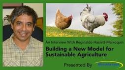 How Regenerative Agriculture Can Go Large-Scale, with the Help of Chickens