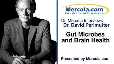 Neurologist Speaks Out About the Importance of Gut Health for Prevention and Treatment of “Incurable” Neurological Disorders