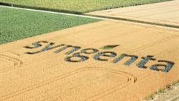 Monsanto Bids to Take Over Syngenta—A Move to Assure a Pesticide-Saturated Future?