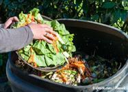 Compost Food Waste