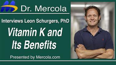Important Reasons to Optimize Your Vitamin K2