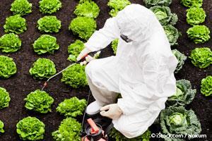 Pesticidas en los Alimentos