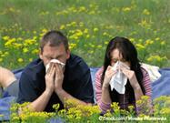 allergy sufferers