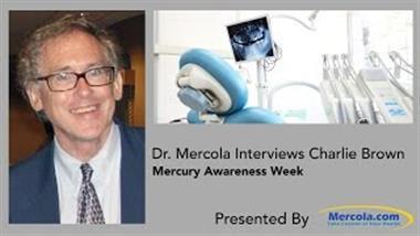 Mercury-Free Dentistry 2016 — A Progress Report