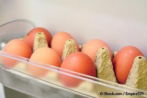 refrigerated eggs