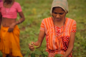 Documentary Investigates Family Farming Practices Around the World