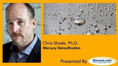 The Three Pillars of Heavy Metal Detoxification