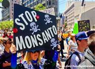 Monsanto PCB Lawsuit