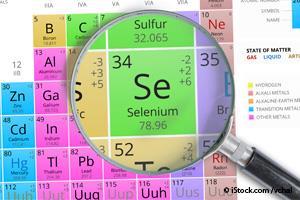 Selenium Element