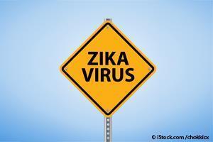 Virus Zika en Mascotas