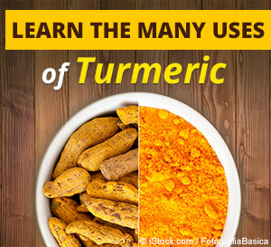turmeric uses