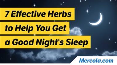Best Herbs to Help With Insomnia