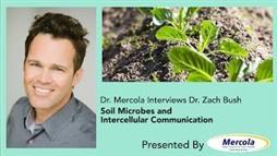 How Soil Microbes and Intercellular Communication Affects Human Health
