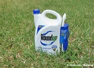roundup causes liver disease