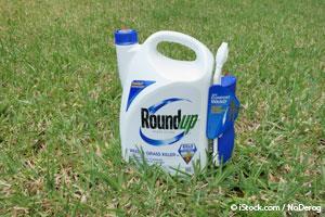 roundup causes liver disease