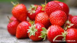 strawberry compound fisetin