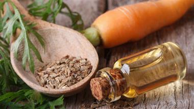 Crafty Uses for Carrot Seed Oil