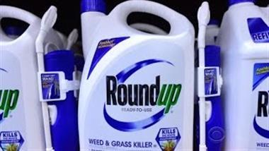 Evidence EPA Colluded With Monsanto to Dismiss Cancer Concerns Grows Stronger