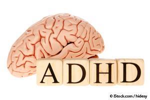 adhd altered brains