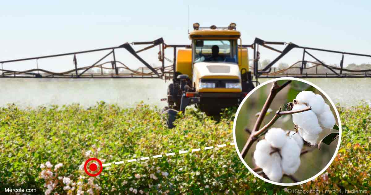 Organic cotton matters