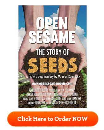 Open Sesame Movie