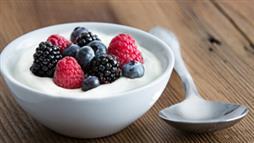 yogurt reduce osteoporosis risk