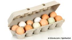 eggs choline