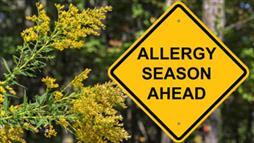 allergy season