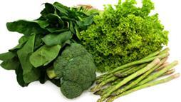 chlorophyll rich foods