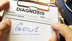 gout and heart disease