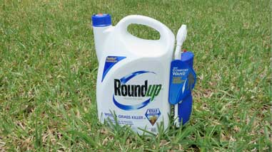 roundup herbicide toxicity