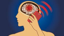 brain tumors cellphones