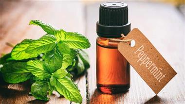 peppermint oil for ibs
