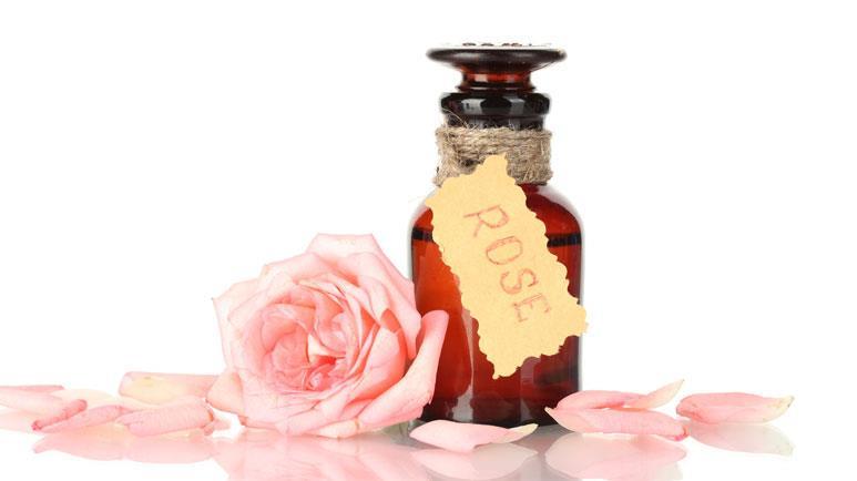 rose absolute oil