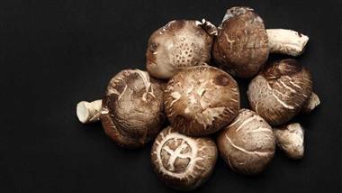 shiitake mushroom improves immunity