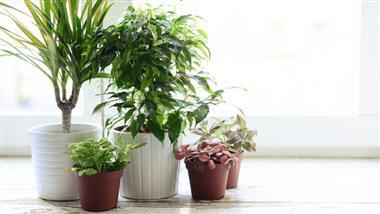 how to reduce indoor air pollution