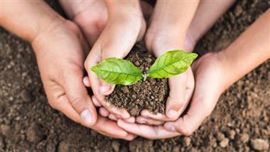 planting trees benefits