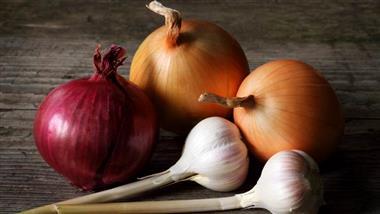 garlic onion help prevent mammary tumors