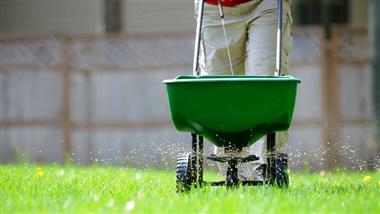 dangers of lawn chemicals