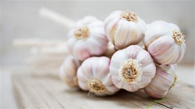 garlic compound may prevent covid