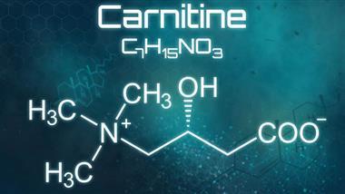 carnitine improves fat metabolism