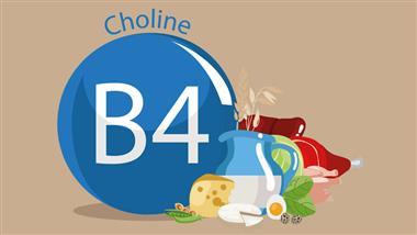 choline rich foods