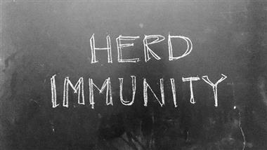 herd immunity threshold for COVID-19
